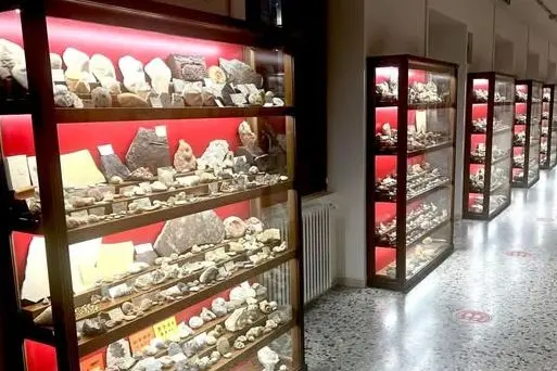 La collezione esposta a Ossi (foto concessa)