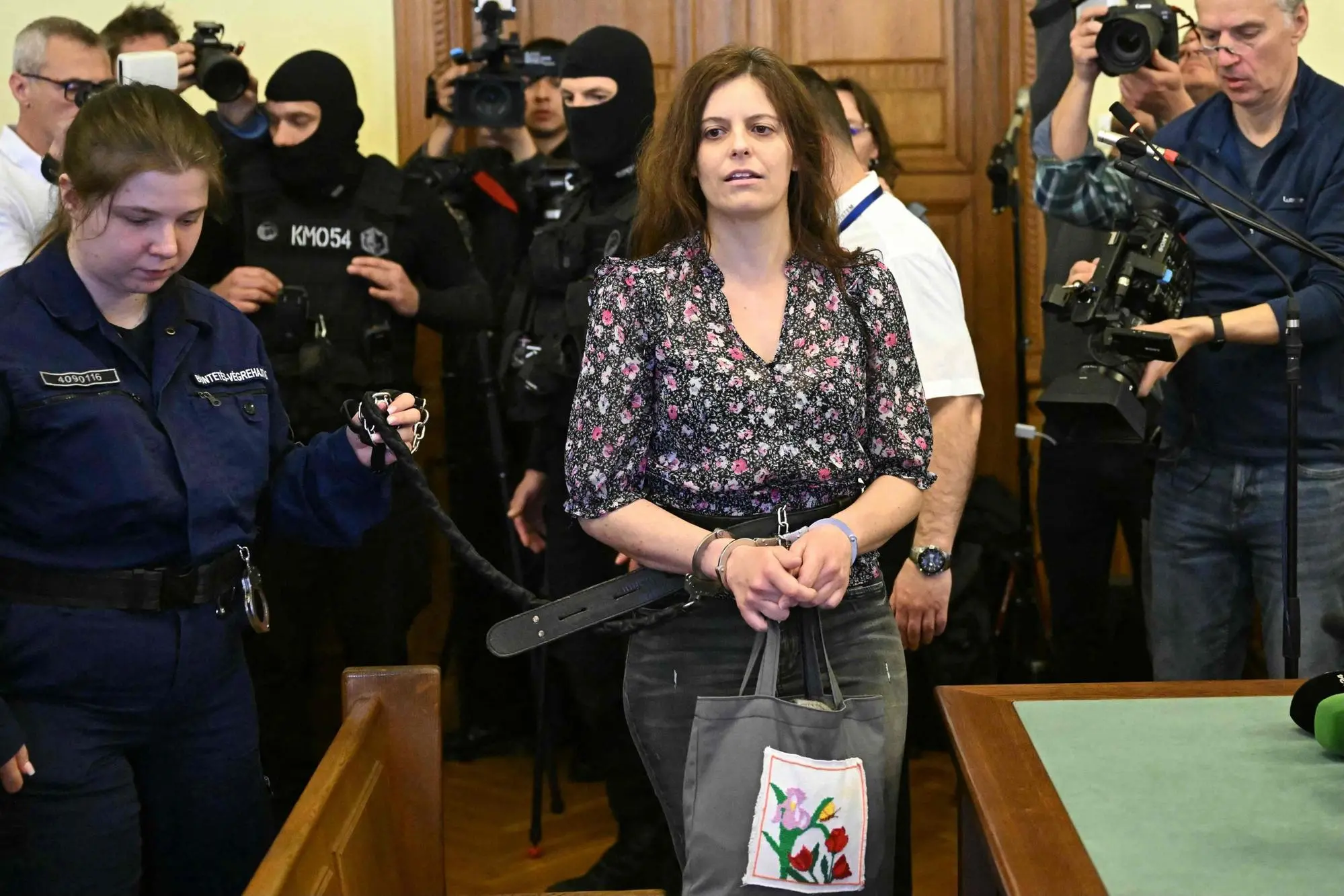 Ilaria Salis in tribunale a Budapest (Ansa)