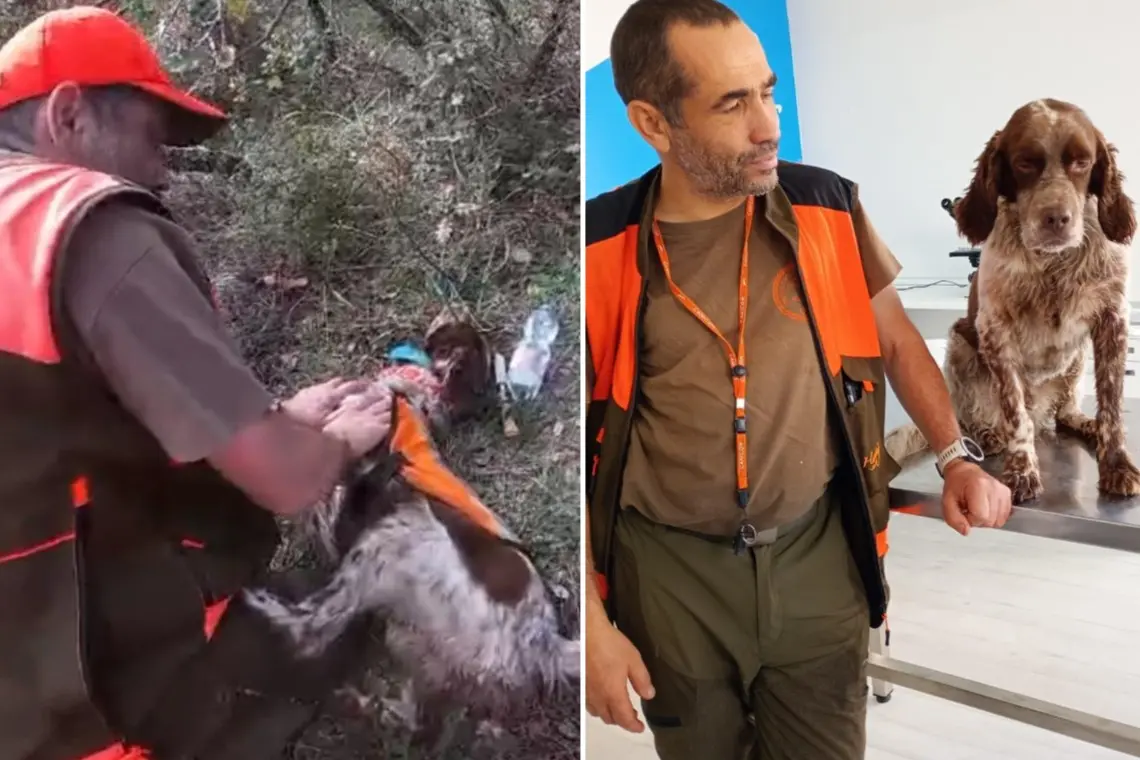 Il cacciatore e il cane durante e dopo il salvataggio