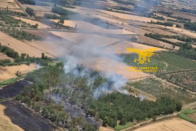 Il rogo a Serramanna (foto Corpo Forestale)
