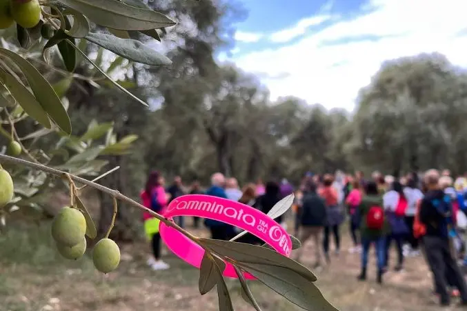 La camminata tra gli ulivi a Sorso (foto concessa)