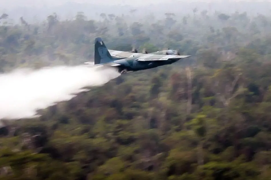 Incendi in Amazzonia (Ansa)