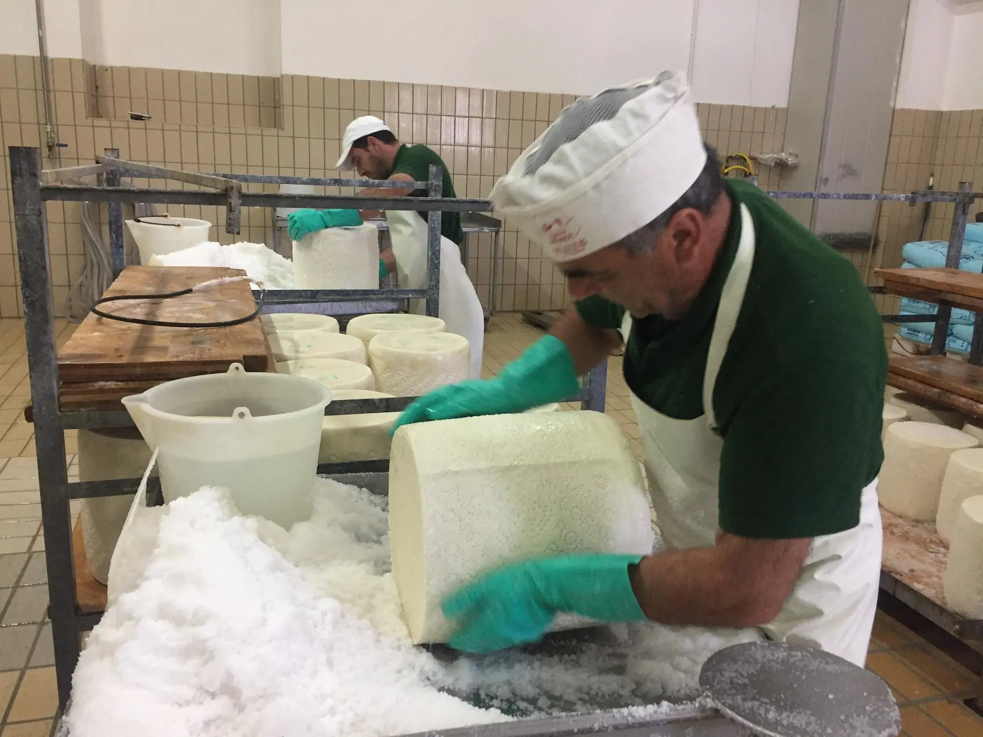 La lavorazione del Pecorino Romano in un caseificio (Archivio)