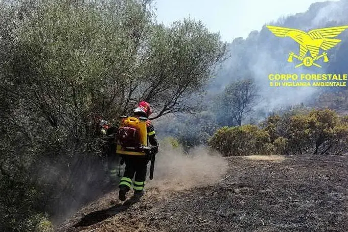 Le operazioni di spegnimento del fuoco (foto Corpo forestale)