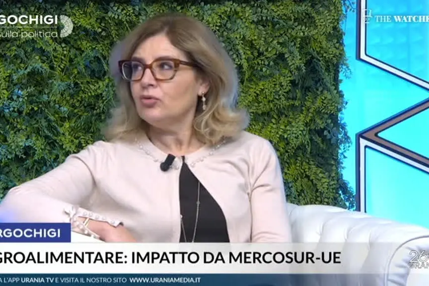 Mercosur, Naturale (M5S): Clausole di salvaguardia incerte