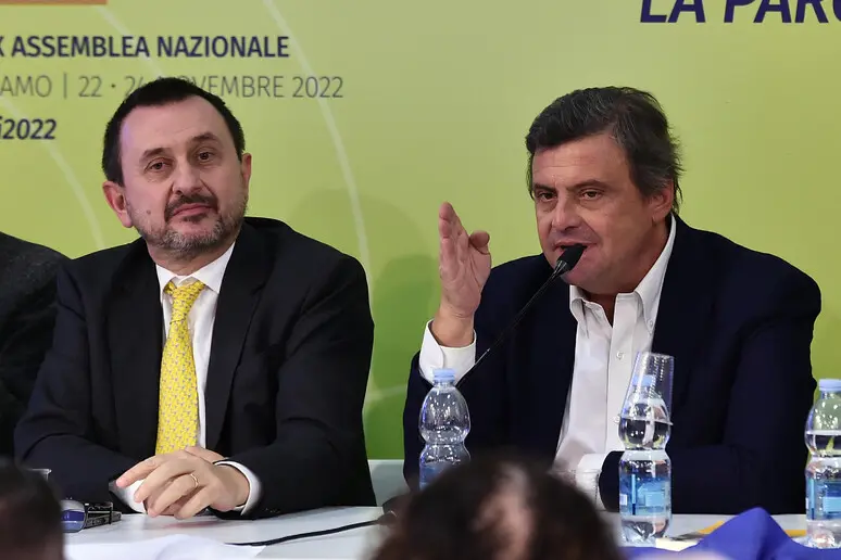 Ettore Rosato e Carlo Calenda (Ansa)