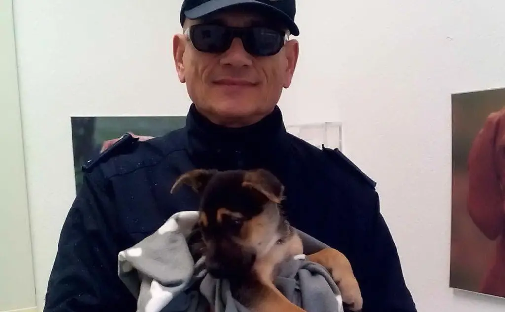 Il cucciolo ritrovato dalla polizia municiapale