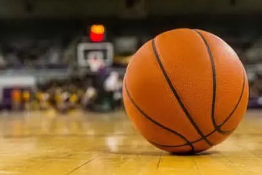 Un pallone da basket