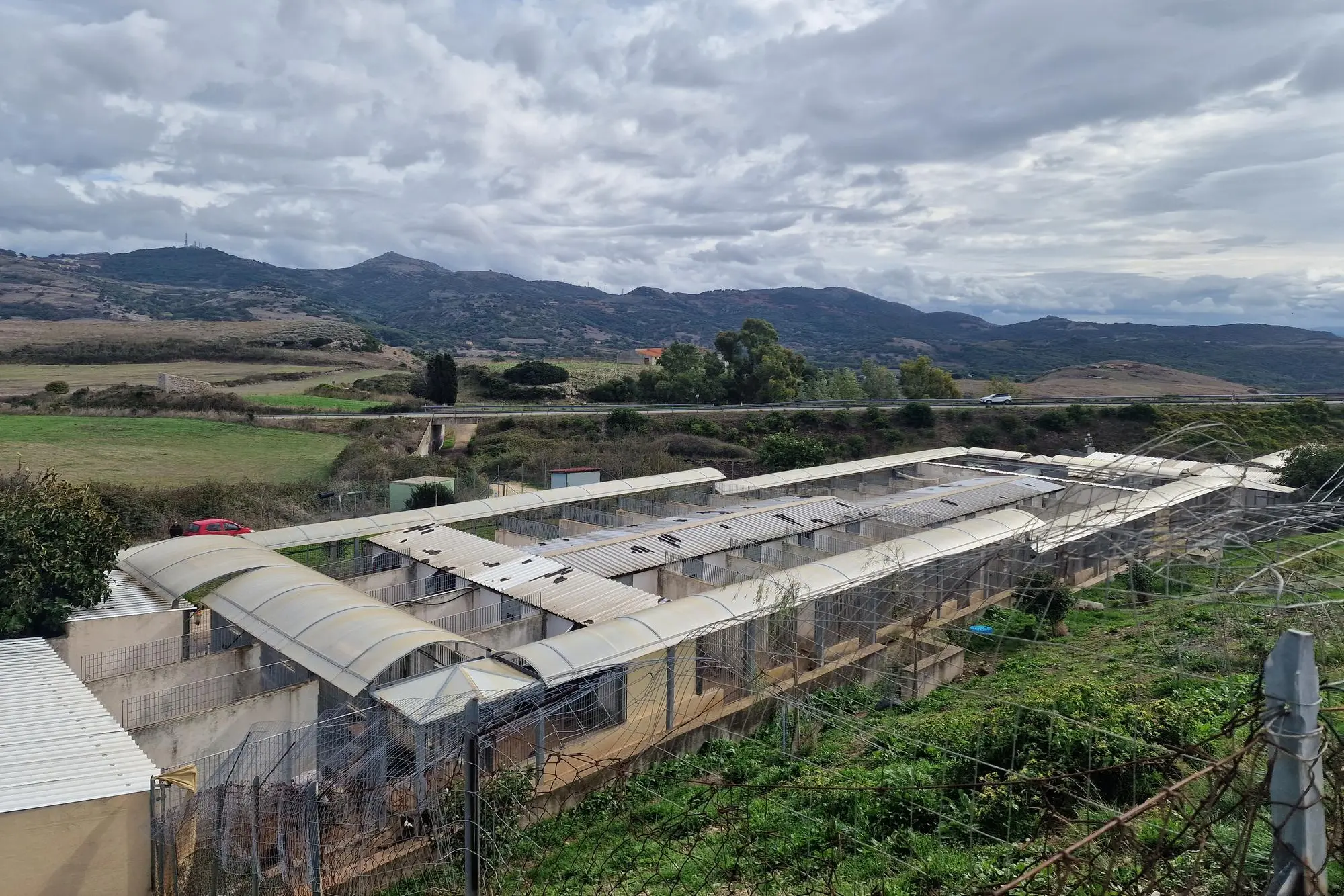 Il canile di Acchettas