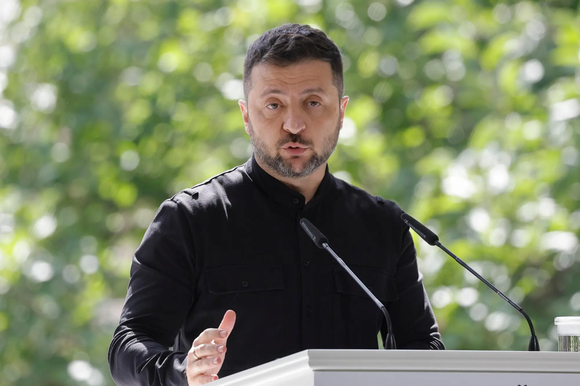 Volodymyr Zelensky (Ansa-Epa)