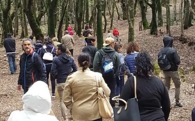 Il campo scuola nella foresta Marganai