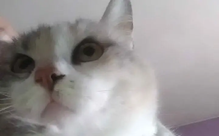 Matilda