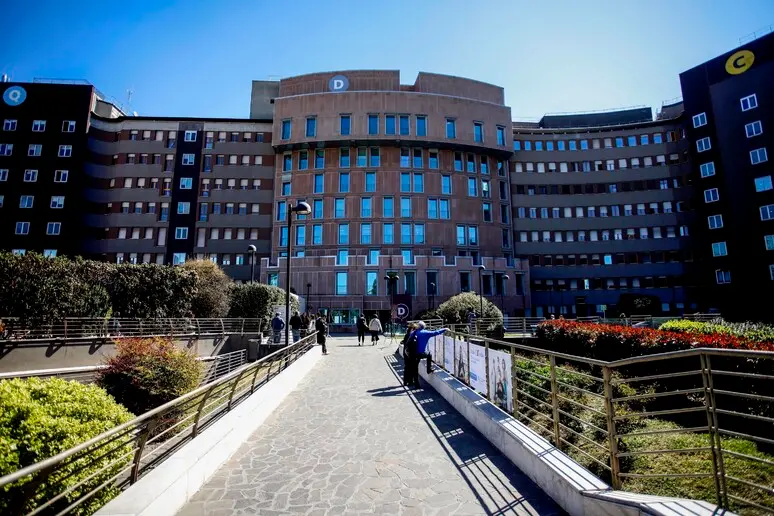Il San raffadele di Milano (Ansa)