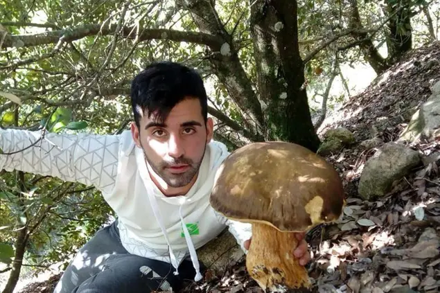 Luca Noli con l’esemplare raccolto nei boschi del Gennargentu (Onano)