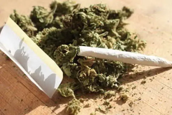 Uno spinello e della marijuana