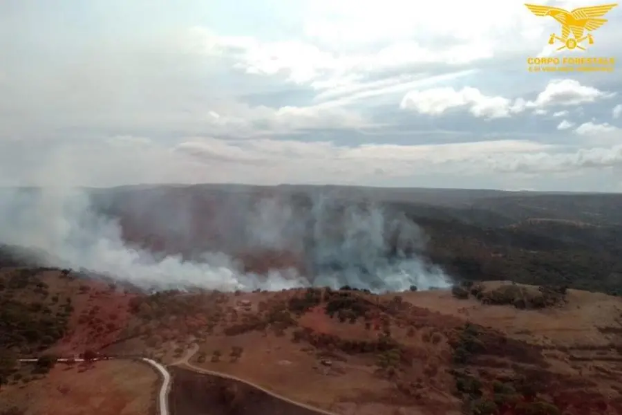 L'incendio a Bonorva (foto Corpo forestale)