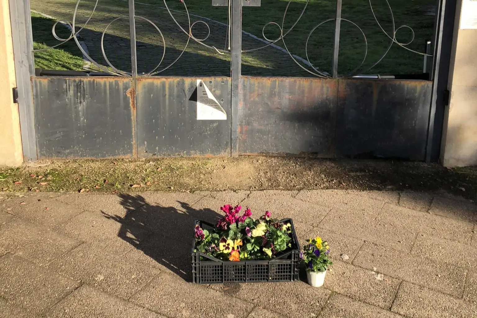 I fiori davanti al cimitero di Atzara