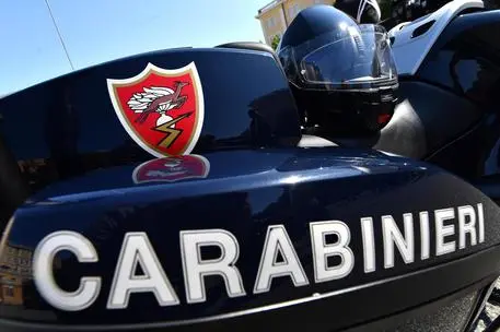 Carabinieri (Ansa)