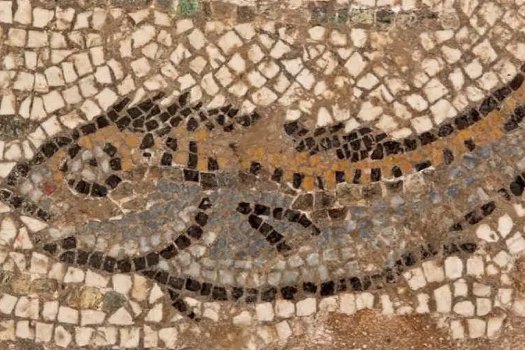 I mosaici marini di Turris (foto M. Pala)