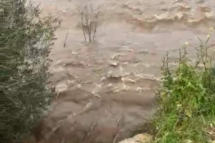 Campi sotto l'acqua (foto Pala)