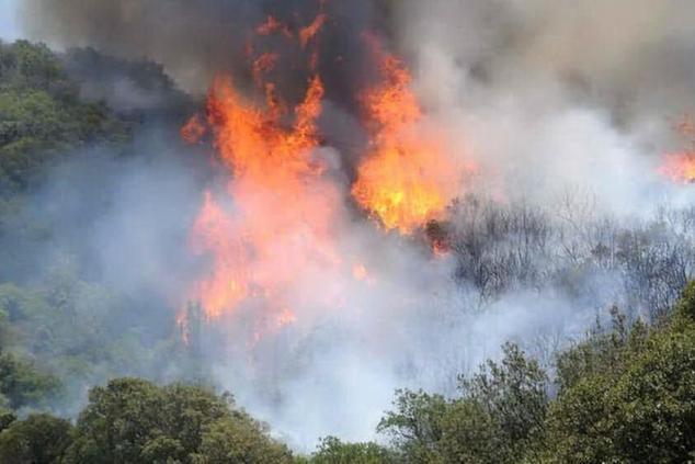 Alla Camera il tema degli incendi in Sardegna: “Un evento catastrofico”