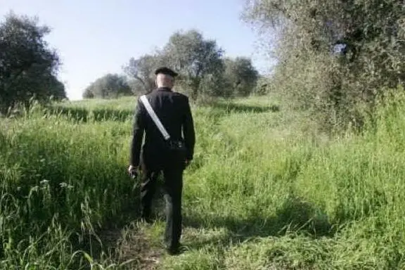 CARABINIERE - FOTO SIMBOLO