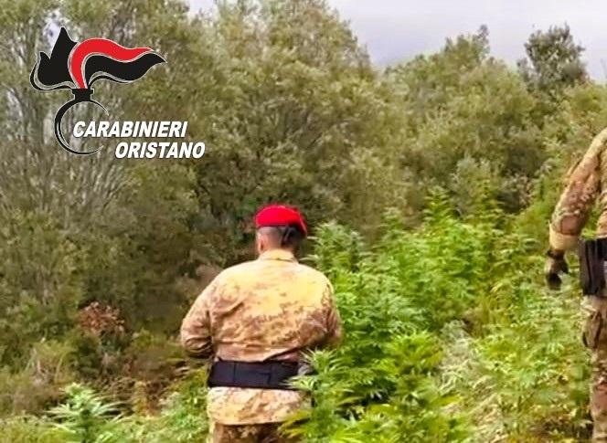 Munizioni e auto rubate: denunciato