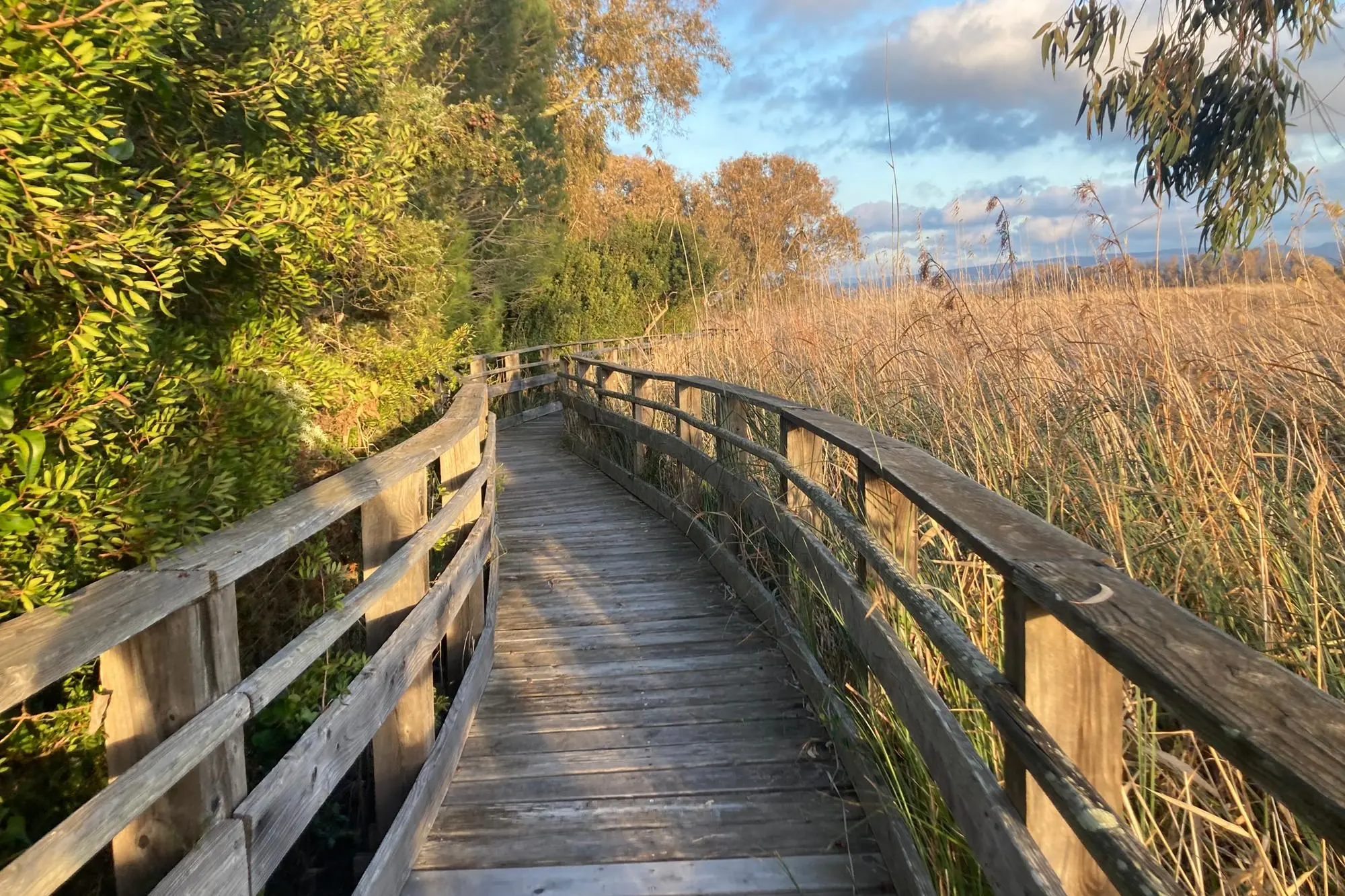 Centro Ceas a Sorso (foto Pala)