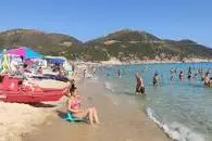 Solanas