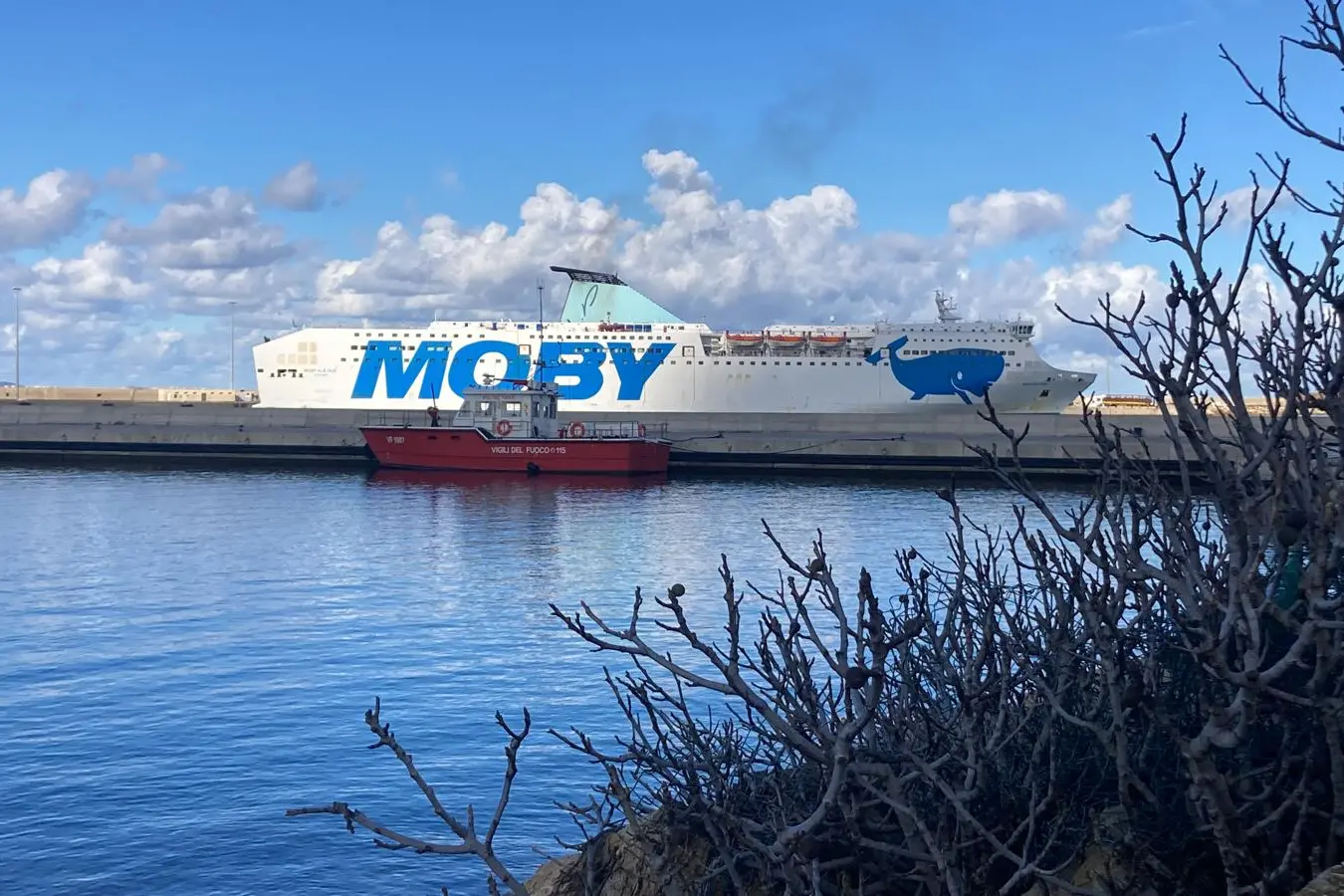 L'arrivo in porto della Moby (foto Pala)