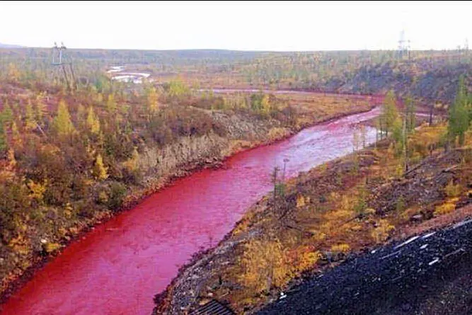 Lo strano caso del fiume rosso sangue che attraversa la Siberia