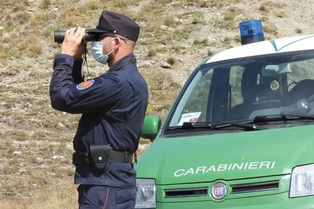 Immagine simbolo (Ansa)