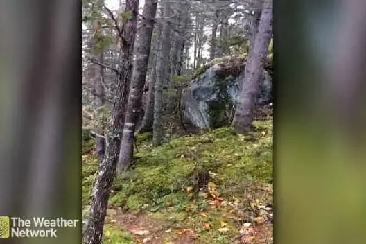 Un frame del video di The Weather Network