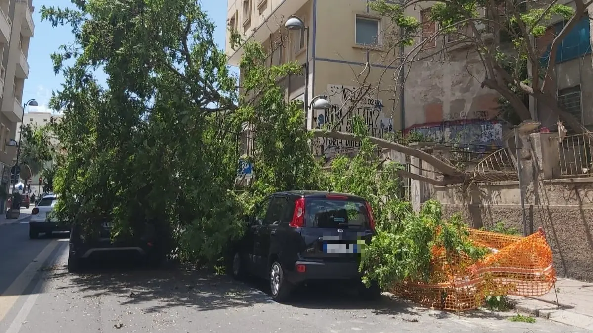 https://immagini.unionesarda.it/version/c:NmNlNzdmNDktZDBkNi00:ZTJiZjU4YjQtODJkYS00/image.webp?f=16:9