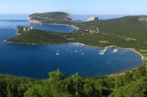 Area marina protetta Porto Conte