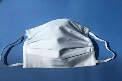 Immagine simbolo (Ansa)