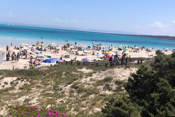 La Pelosa- Stintino (foto concessa)