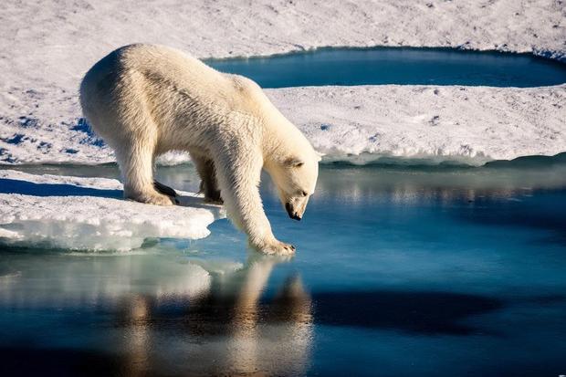 L’Artico si scioglie: a rischio strade, case e industrie in tutto il pianeta