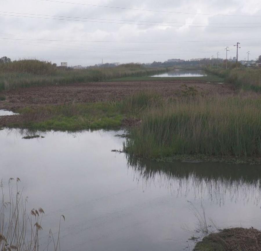 «San Giovanni, allarme liquami»