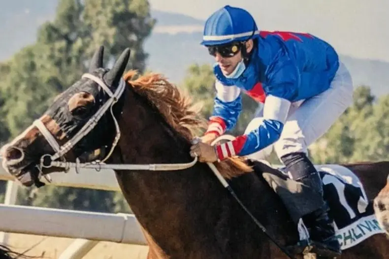 Uno dei cavalli morti durante il trasporto