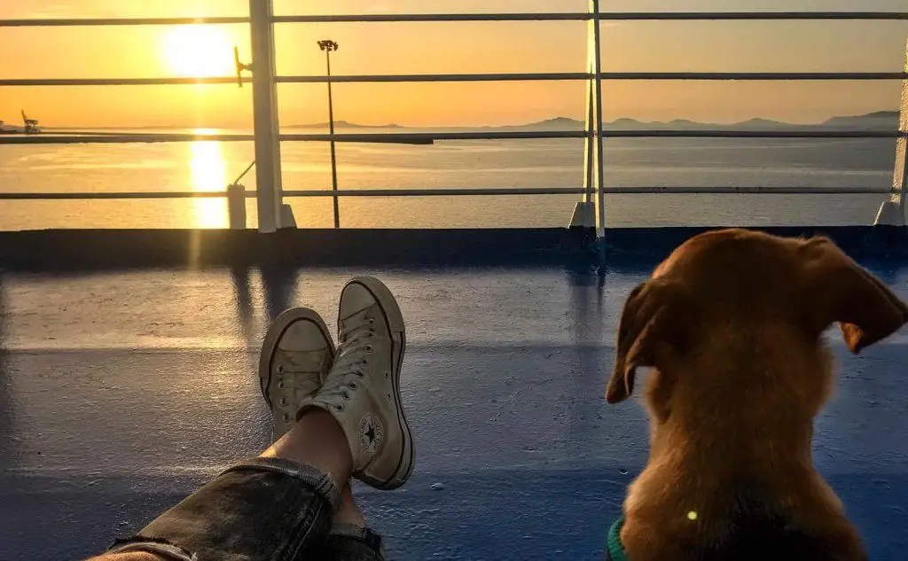 Massimiliano Garau: &quot;A bordo della Tirrenia Nuraghes in partenza da Porto Torres, con Connie che ammira il nostro splendido golfo dell’Asinara&quot;