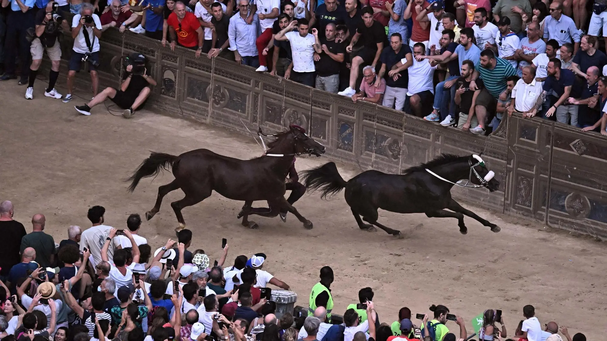 Palio di Siena two horses suffer fractures animal rights