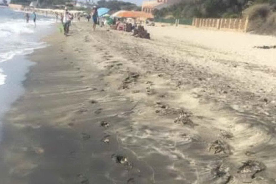 Pula, una lunga striscia di catrame sulla spiaggia di Guventeddu