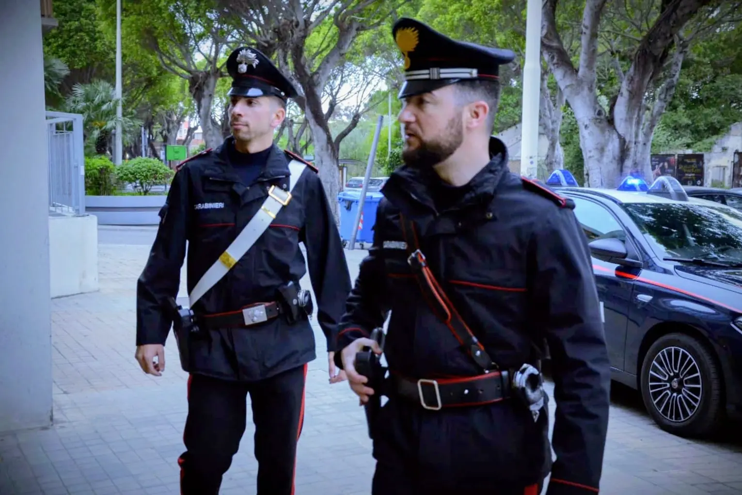 （图片版权所有）