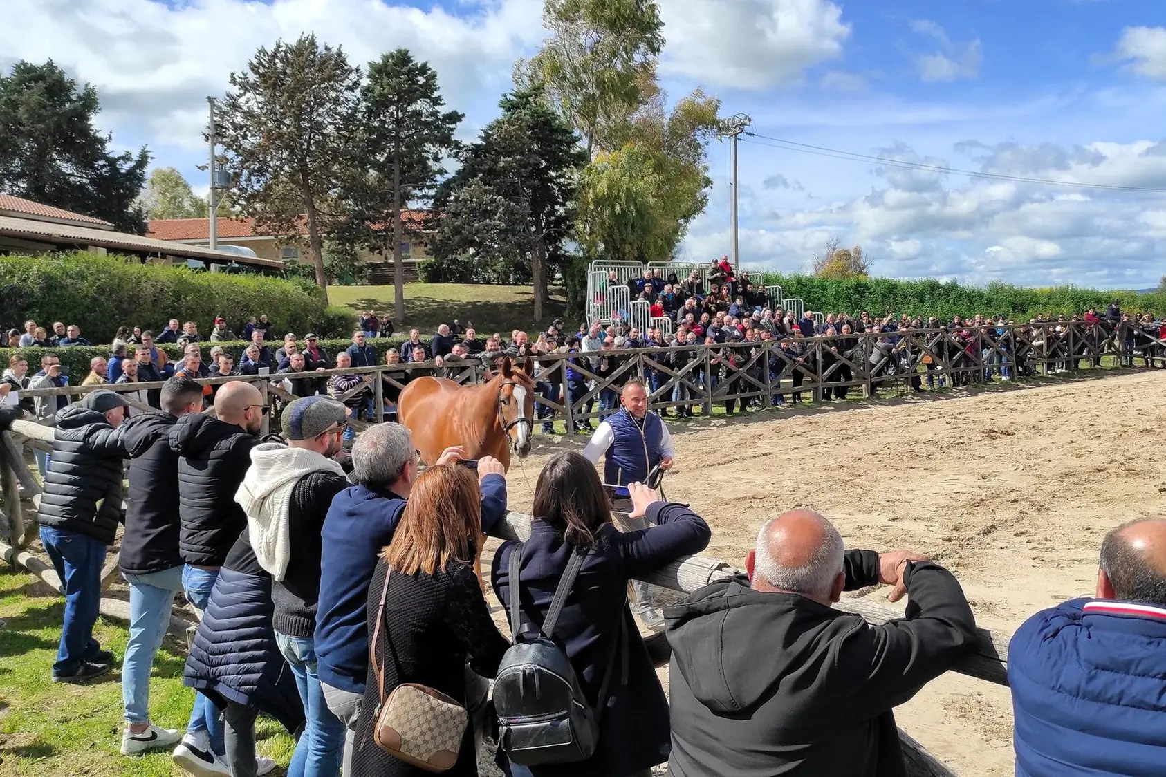 Presentazione di stalloni a Su Padru (foto concessa)