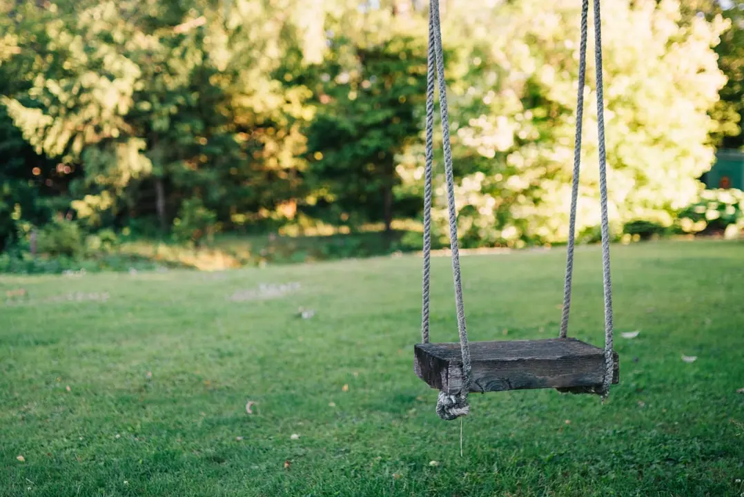 Immagine simbolo (Unsplash)