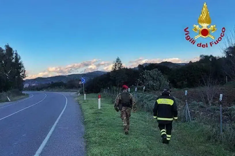 Un momento delle ricerche (foto Vigili del fuoco)