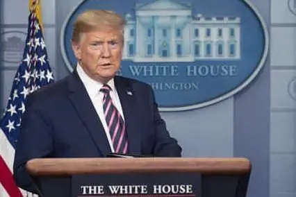 Donald Trump (Ansa)