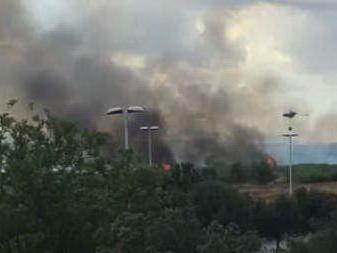 Ancora incendi in Sardegna: fiamme a Molentargius, Olbia e Alà dei Sardi