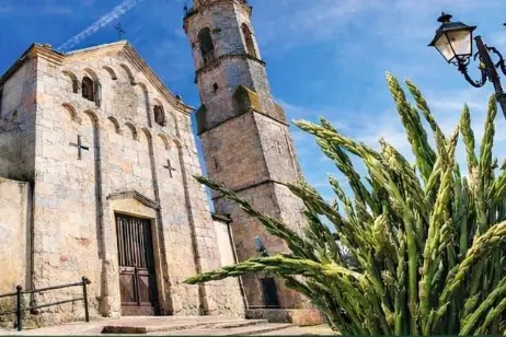 Locandina asparago selvatico a Tissi (foto concessa)